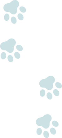 ねこの足跡のパターン